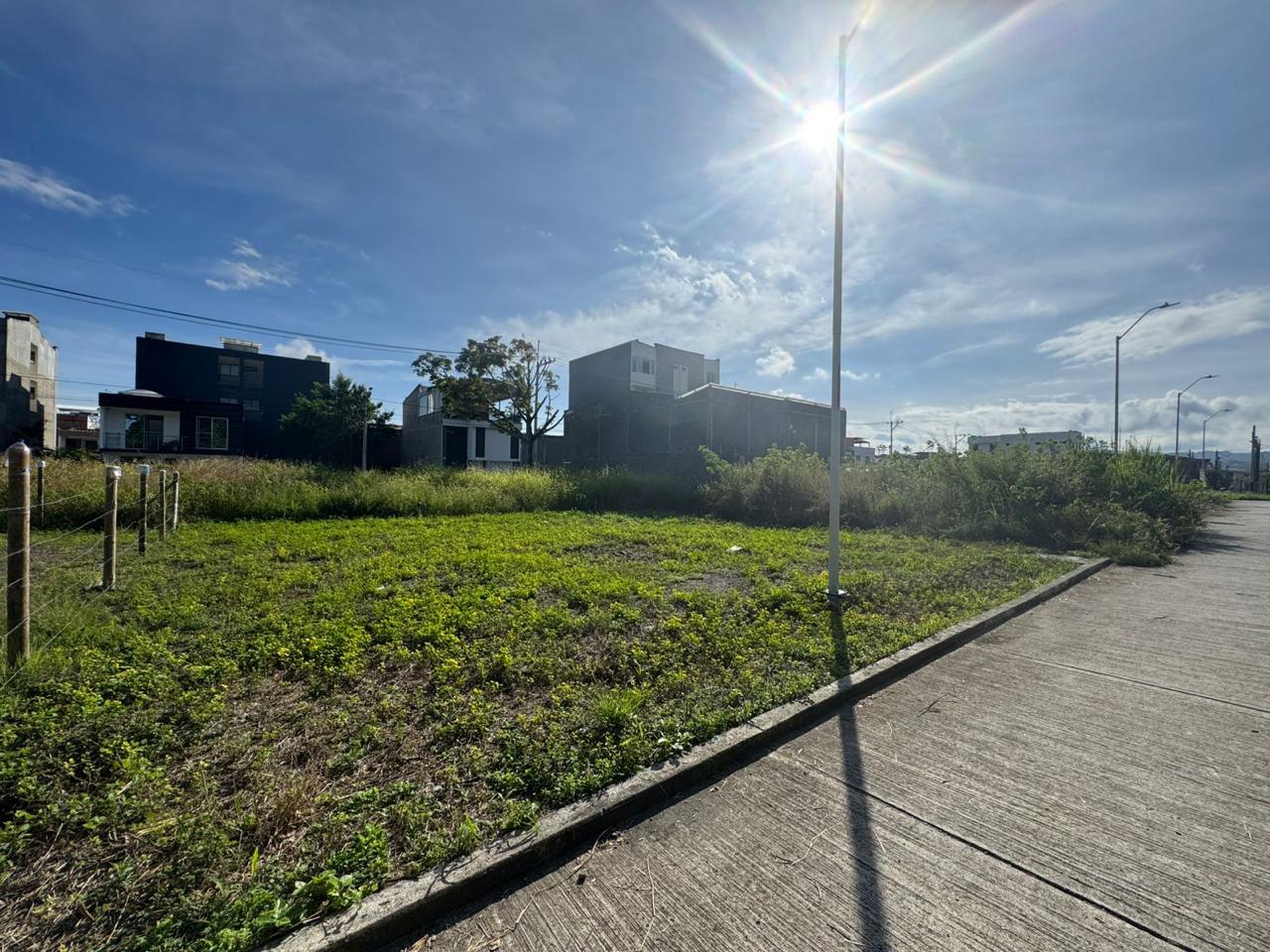 lote venta cartago valle (2)