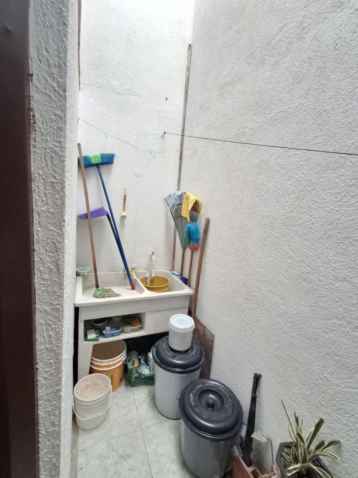 WhatsApp Image 2026-05-20 at 11.52.05